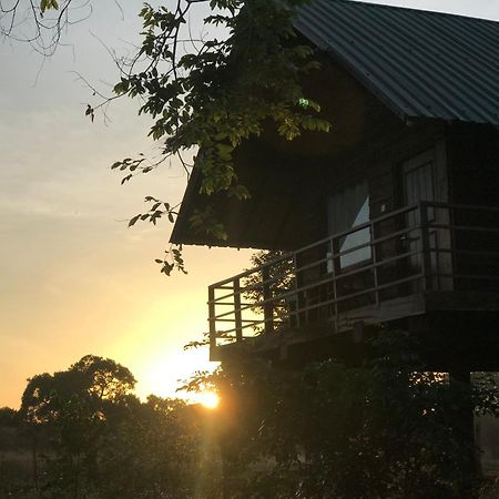Chena Huts Eco Resort سيغيرِيا المظهر الخارجي الصورة