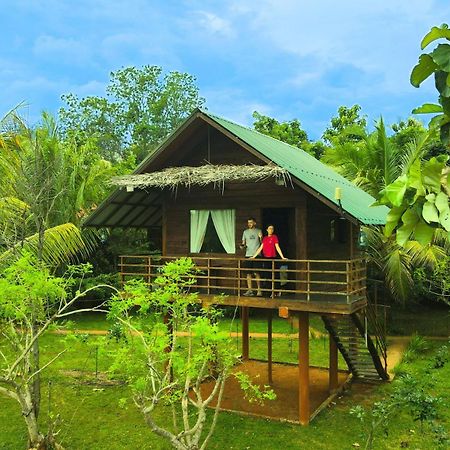 Chena Huts Eco Resort سيغيرِيا المظهر الخارجي الصورة