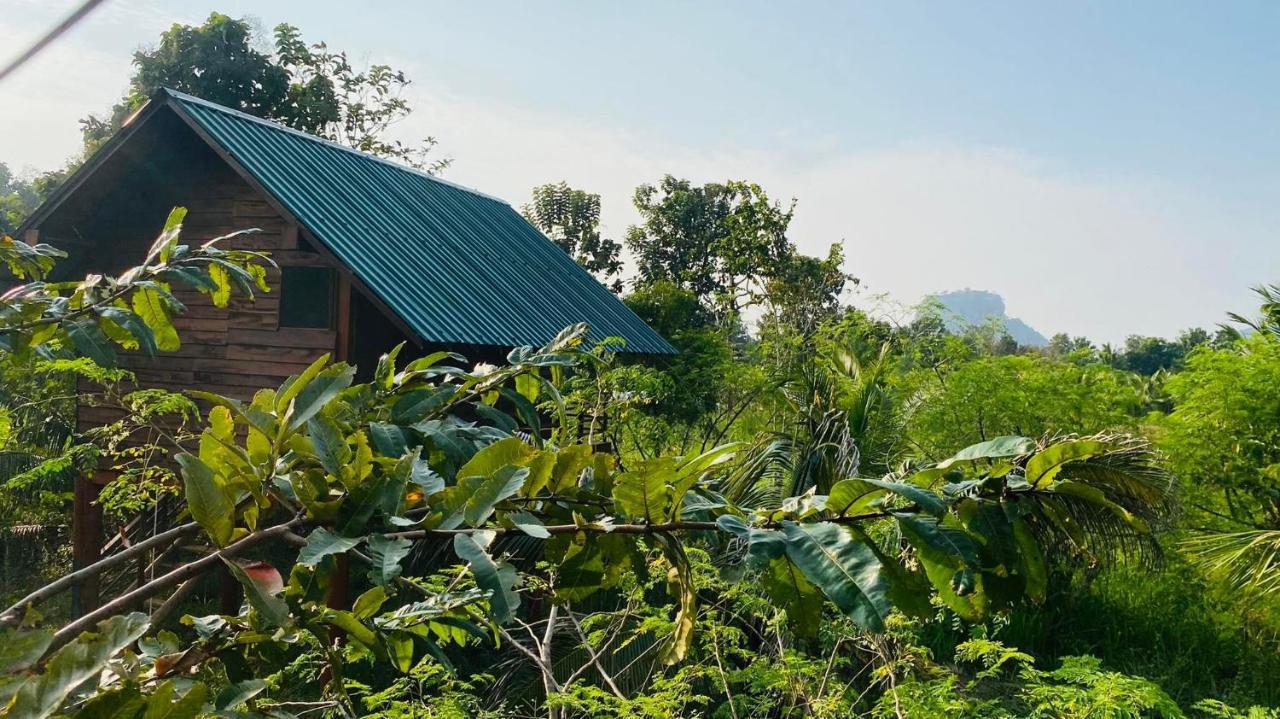 Chena Huts Eco Resort سيغيرِيا المظهر الخارجي الصورة