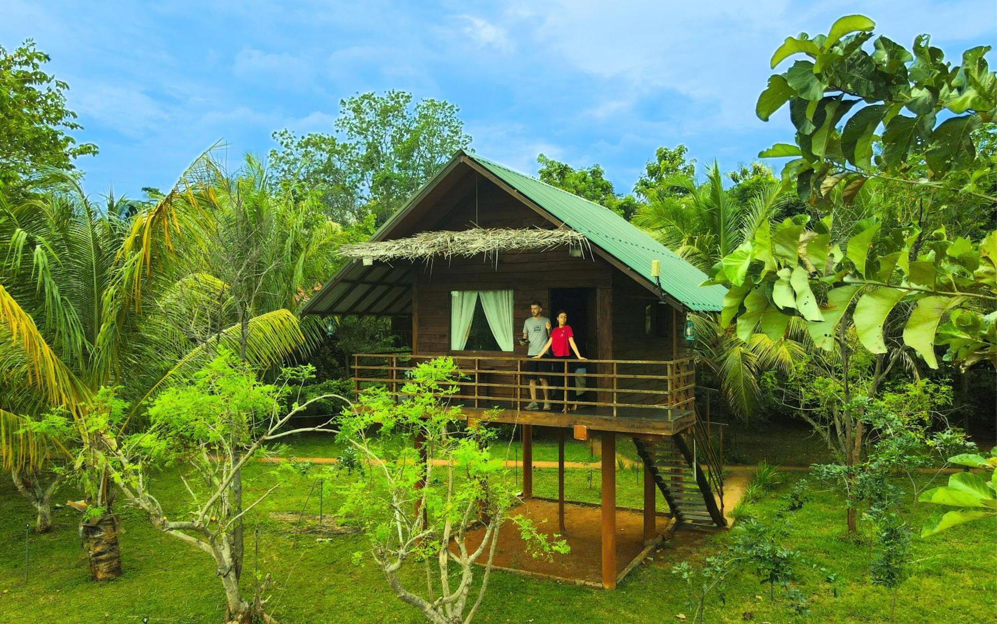 Chena Huts Eco Resort سيغيرِيا المظهر الخارجي الصورة
